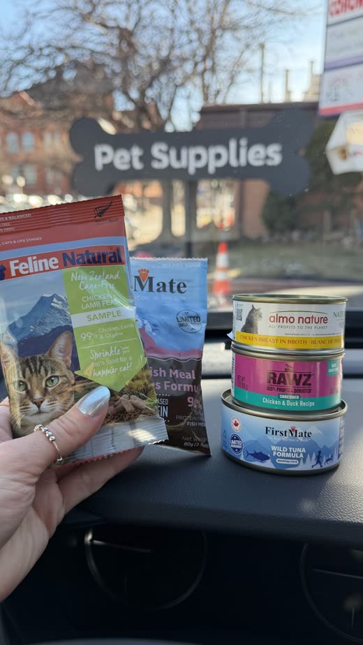 A hand holding cat food pouches and a tin